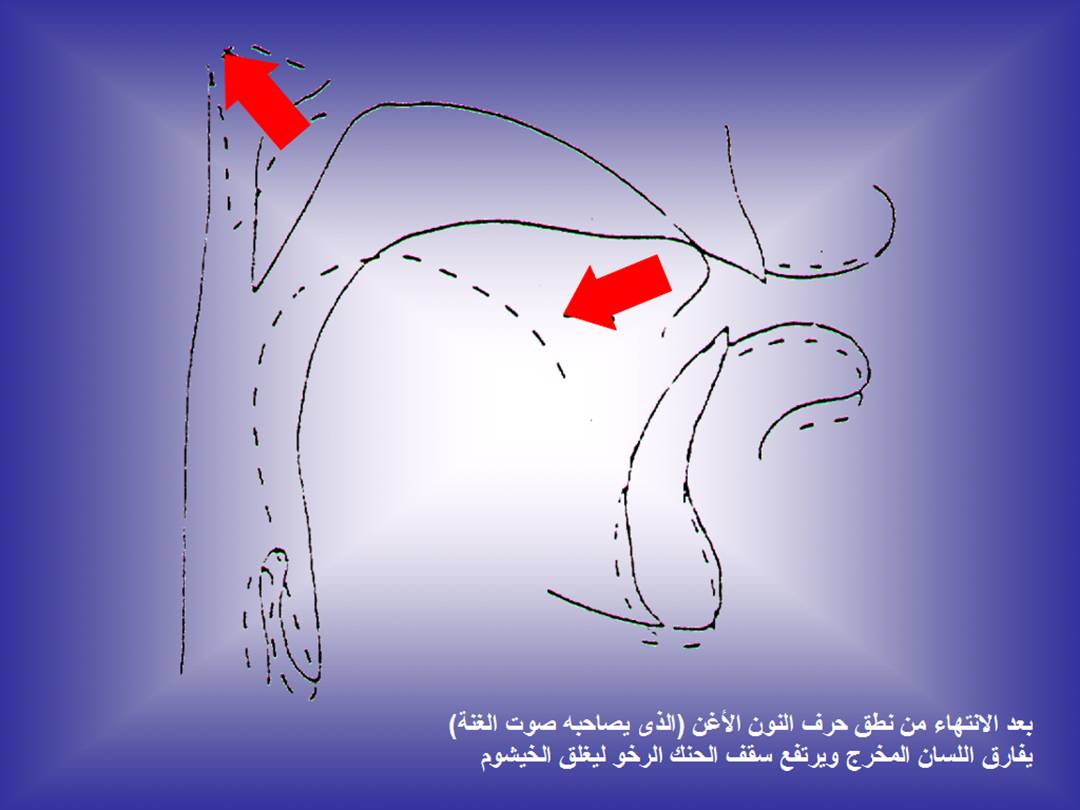 تجويد الحرف - مخارج الحروف